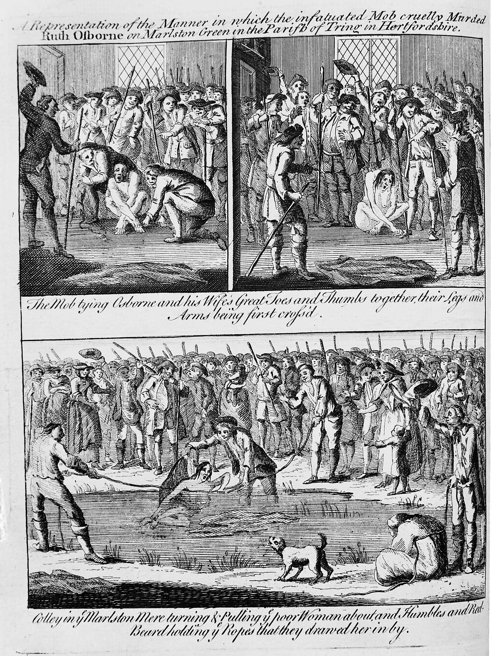 M0013388 T. Colley, The remarkable confession...